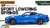 2015 2023 Mustang Sr Performance Sport Lowering Springs Review U0026 Install