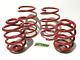 BMW X1 E84 Sports Lowering Springs Lowers Front Rear 40mm Lower Suspension Drop